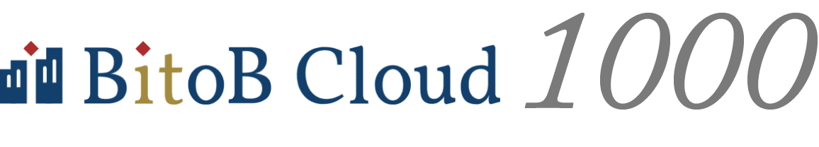 bitob-cloud1000